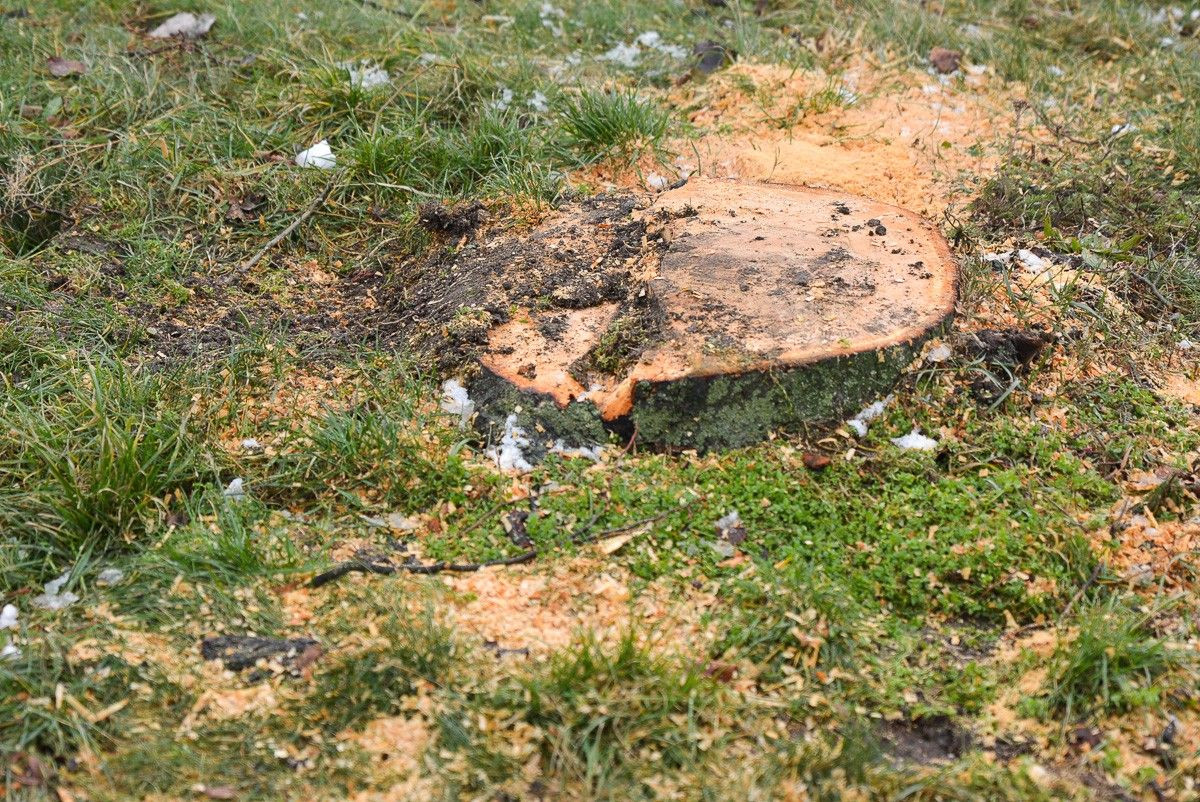 Rondo przy ulicy Góralskiej w Bolesławcu