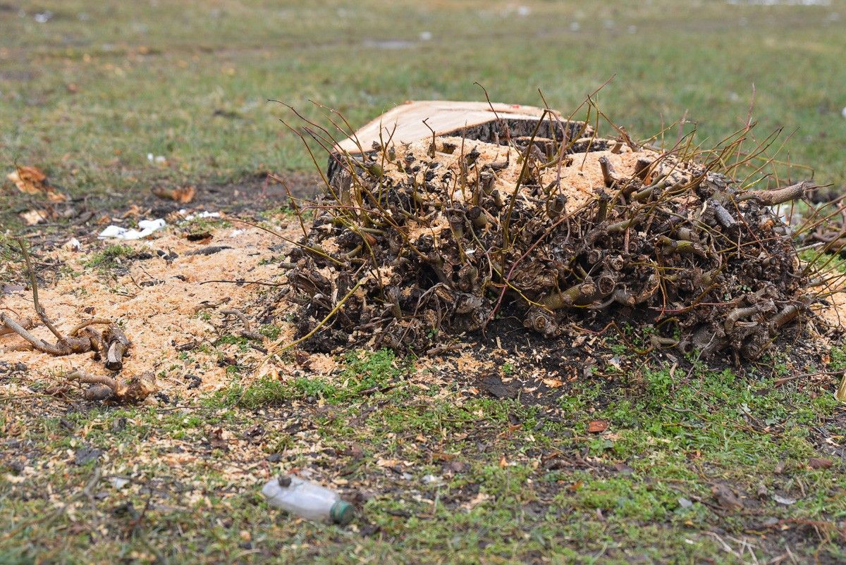 Rondo przy ulicy Góralskiej w Bolesławcu
