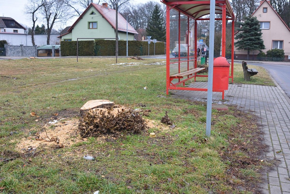 Rondo przy ulicy Góralskiej w Bolesławcu
