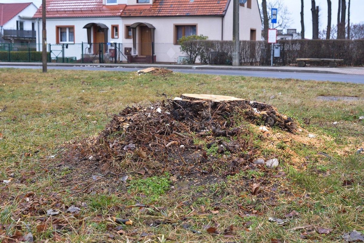 Rondo przy ulicy Góralskiej w Bolesławcu