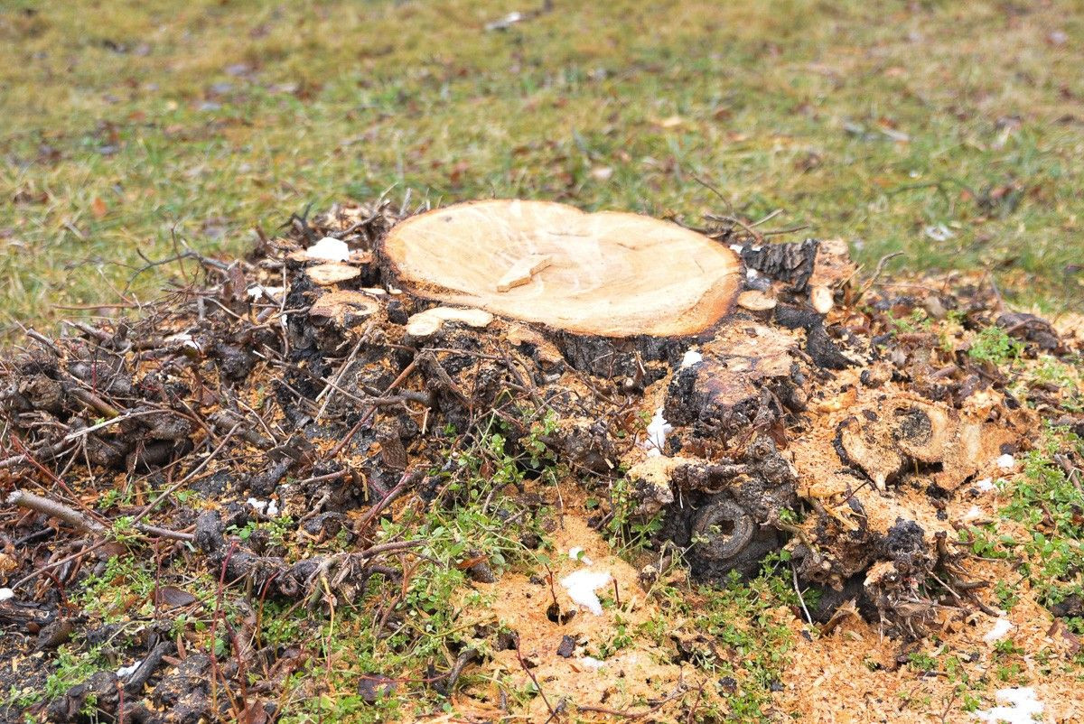 Rondo przy ulicy Góralskiej w Bolesławcu