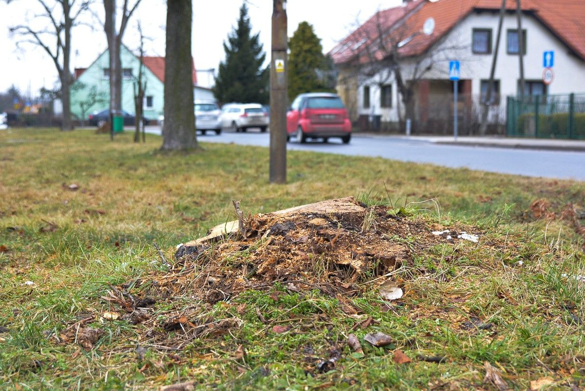 Rondo przy ulicy Góralskiej w Bolesławcu