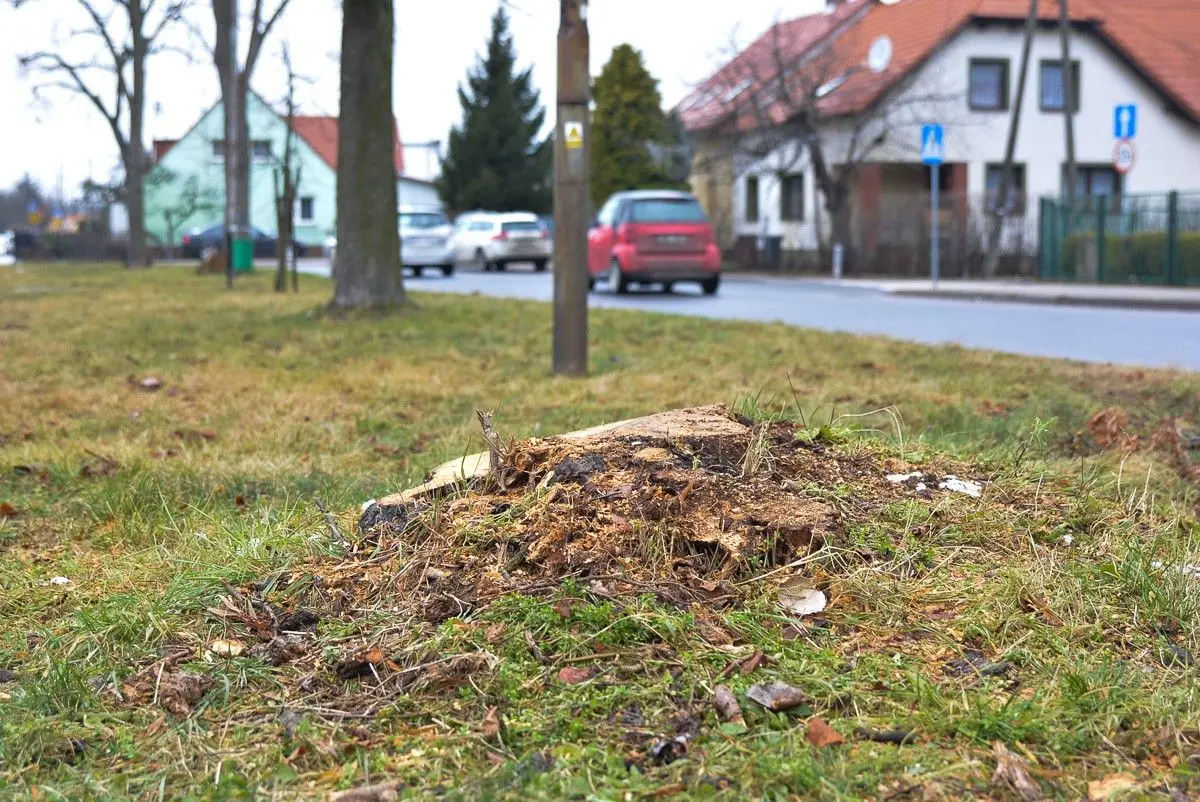 Rondo przy ulicy Góralskiej w Bolesławcu