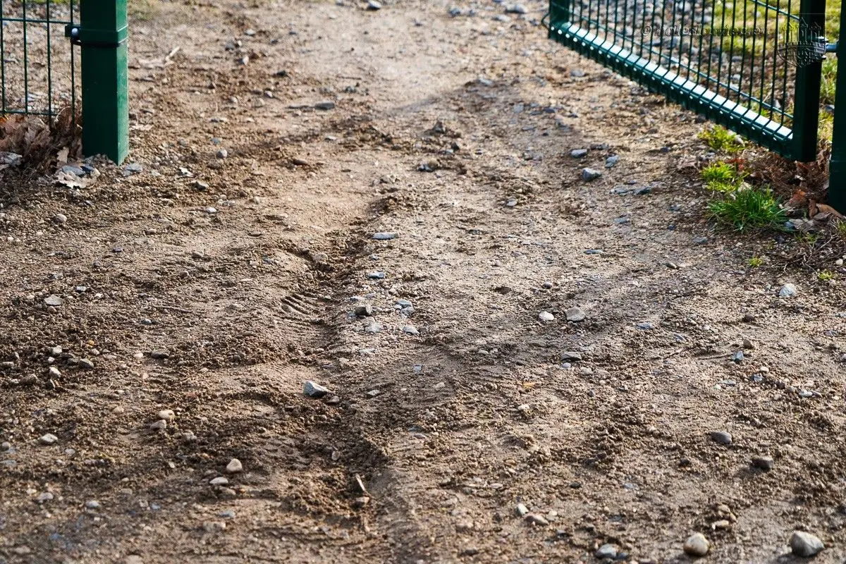 Motocykliści wtargnęli na bolesławiecki skatepark i zniszczyli nawierzchnię