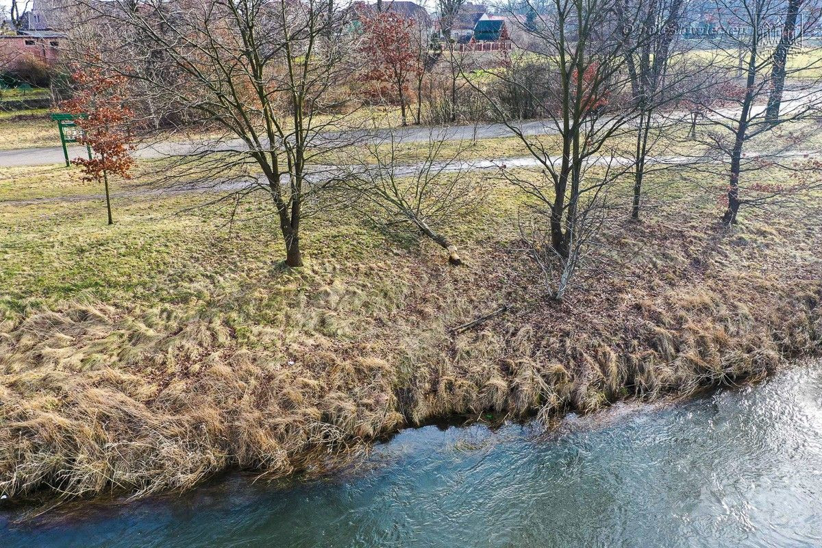 Drzewa na bulwarze nad Bobrem