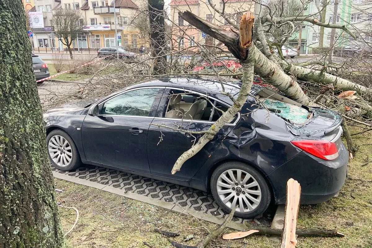 Uszkodzone auta