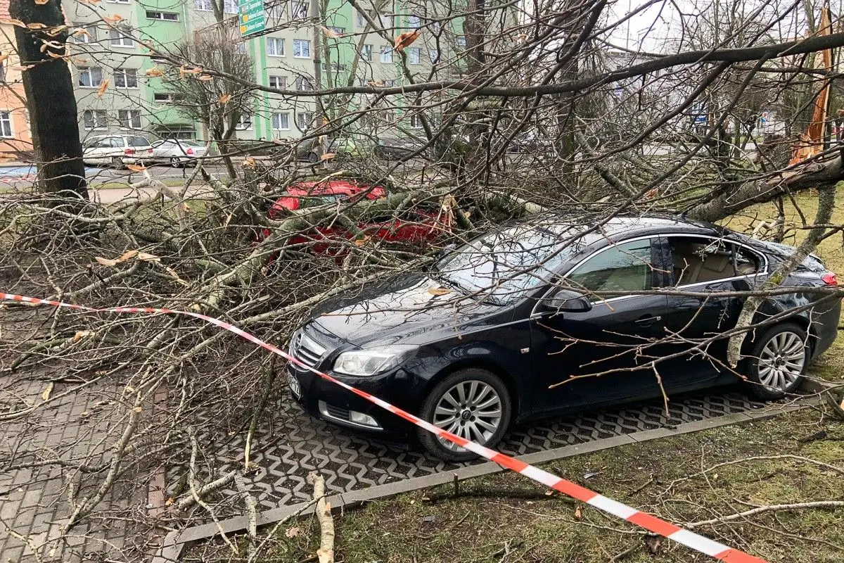 Uszkodzone auta