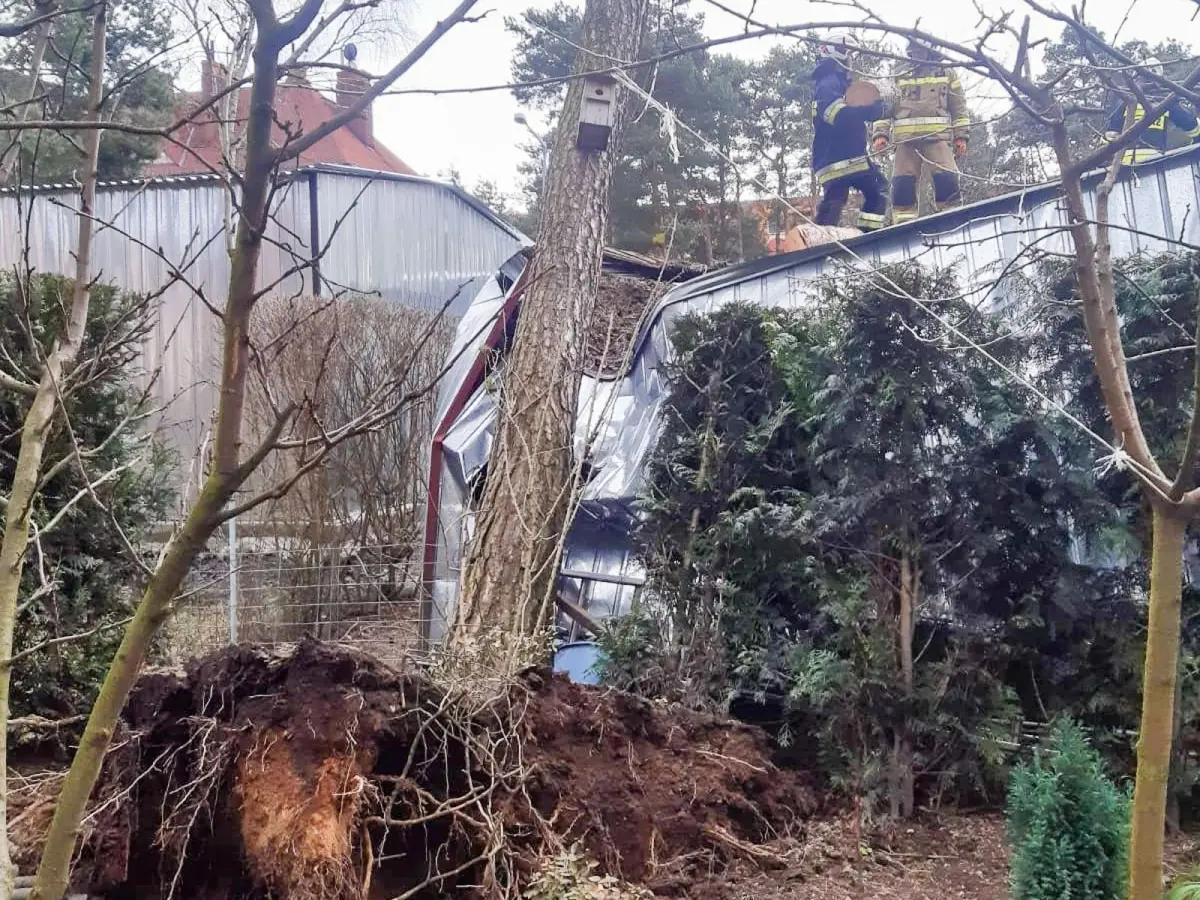 Efekty wichur, które usuwali strażacy w ostatnich 48 godzinach