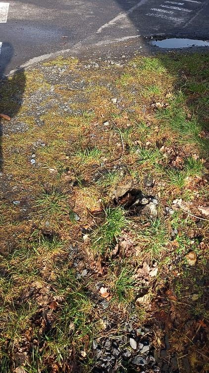 Akty wandalizmu na ścieżce rowerowej