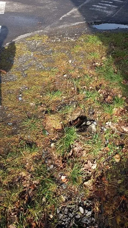 Akty wandalizmu na ścieżce rowerowej