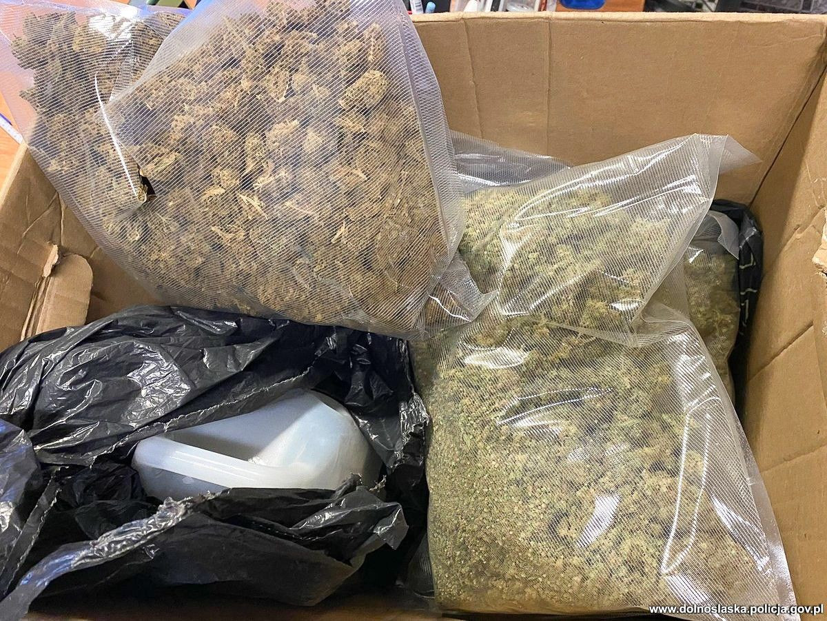 Narkotyki i podejrzani