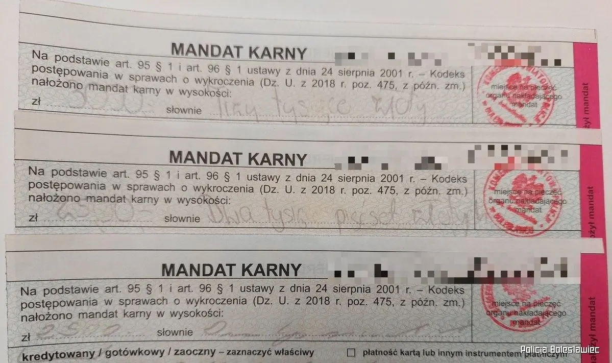 Mandaty
