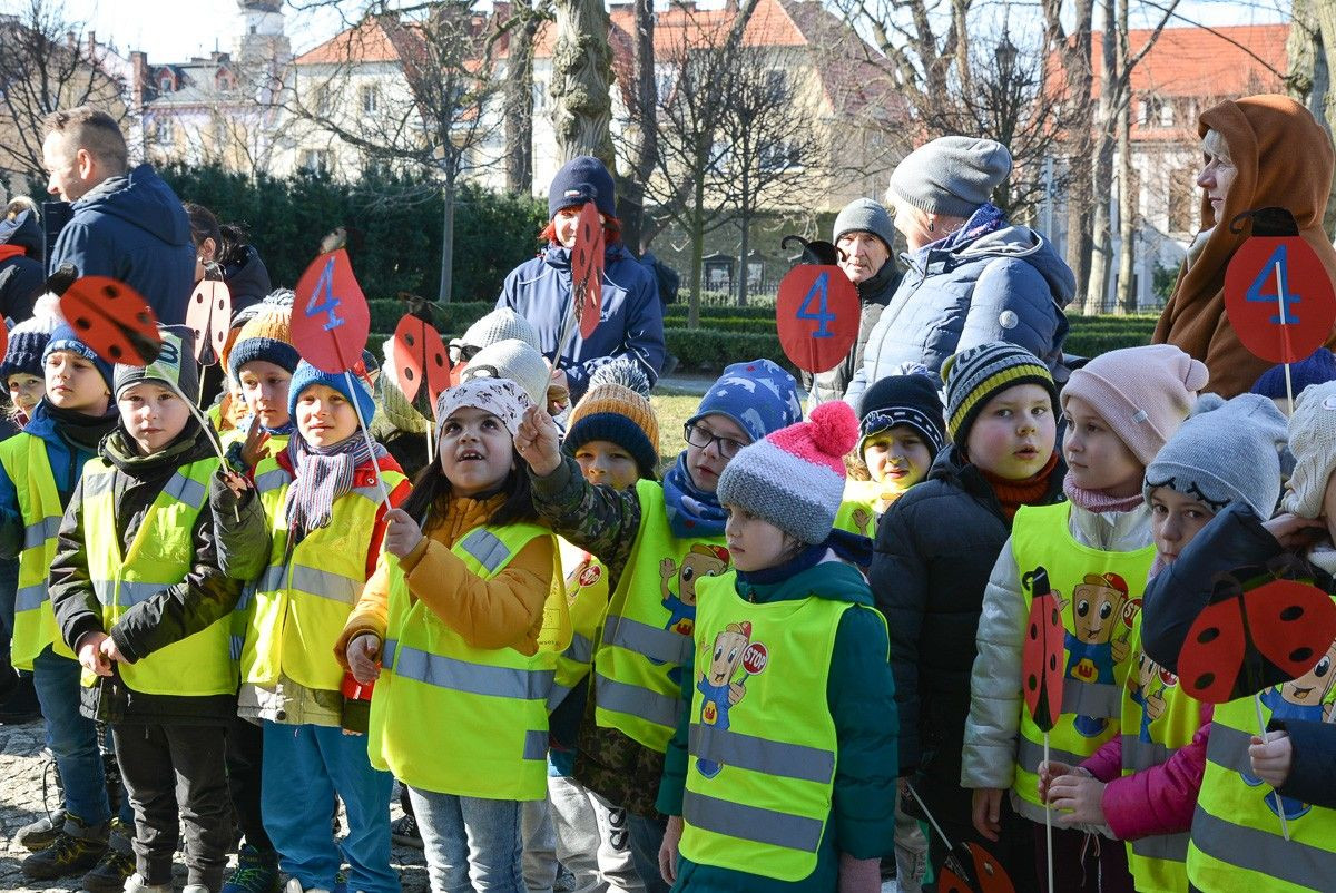 Otwarcie bolesławieckiej tężni