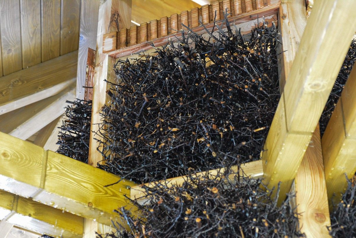 Otwarcie bolesławieckiej tężni