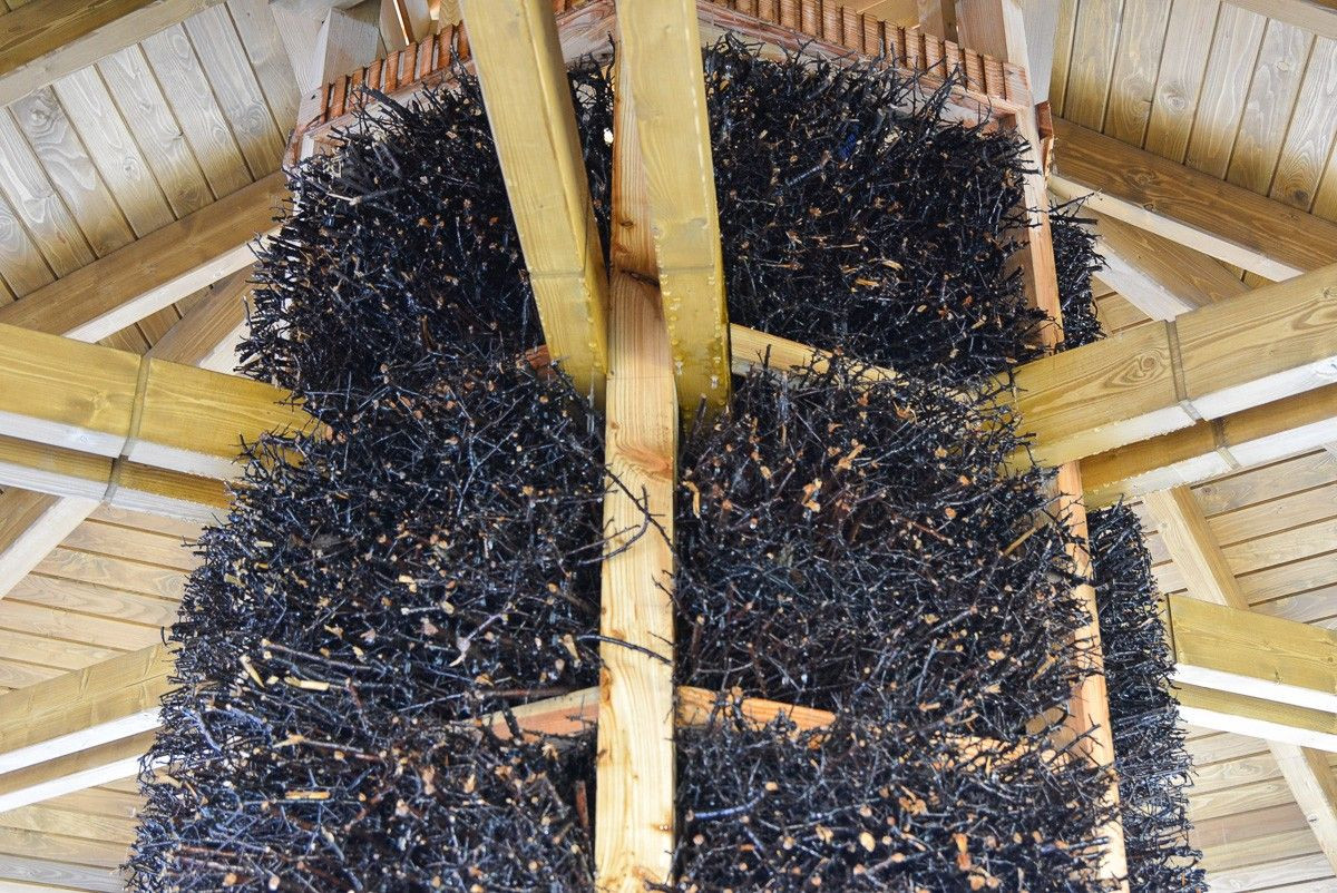 Otwarcie bolesławieckiej tężni