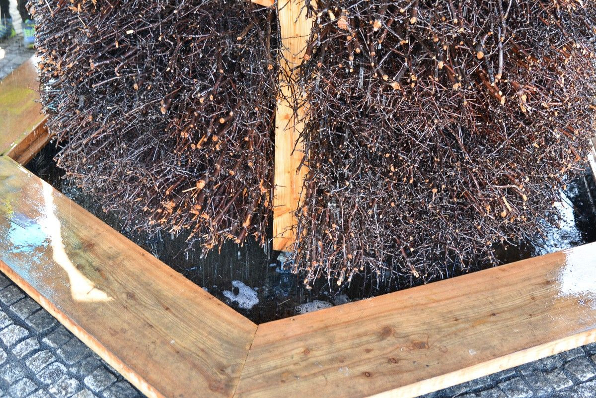 Otwarcie bolesławieckiej tężni