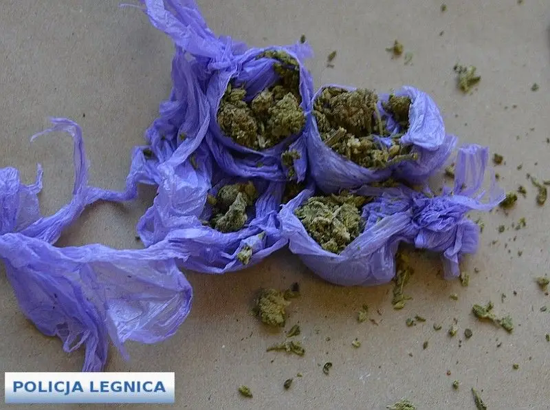 Marihuana i poszukiwany