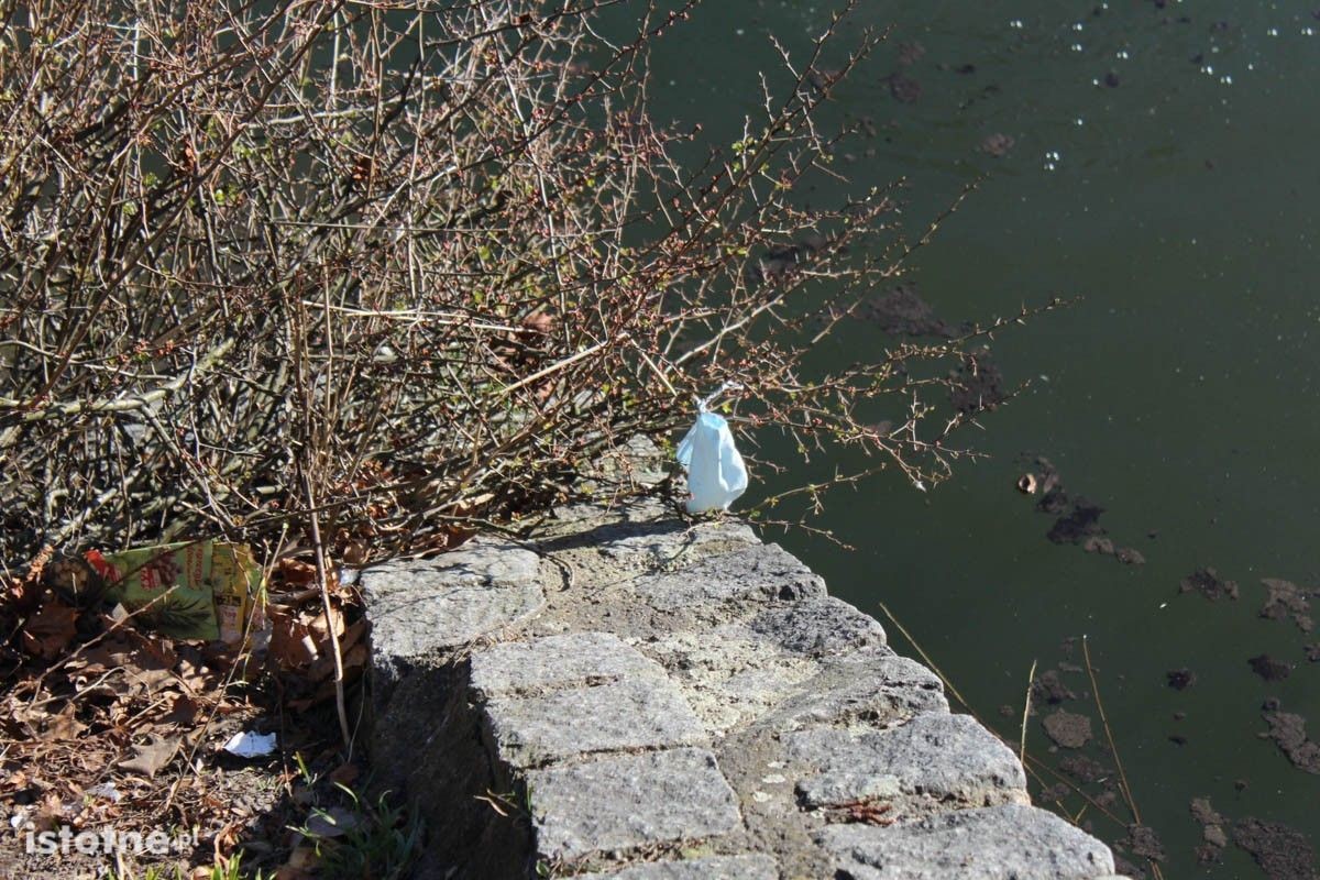 Zaśmiecony staw miejski w Bolesławcu