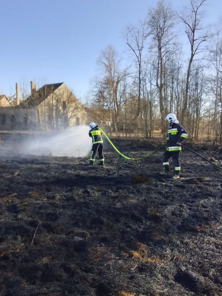 Działania OSP Nowogrodziec