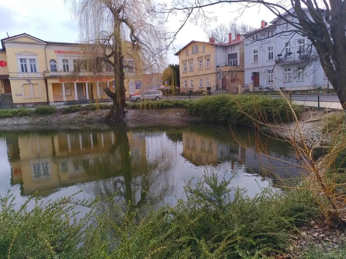 Staw miejski w Bolesławcu