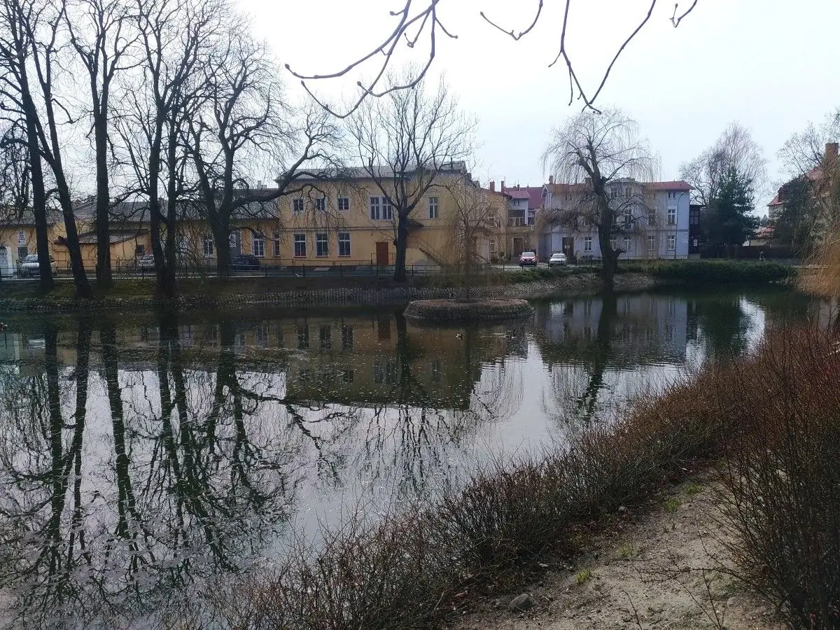 Staw miejski w Bolesławcu
