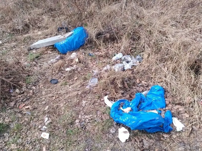 Śmieci koło obwodnicy Bolesławca