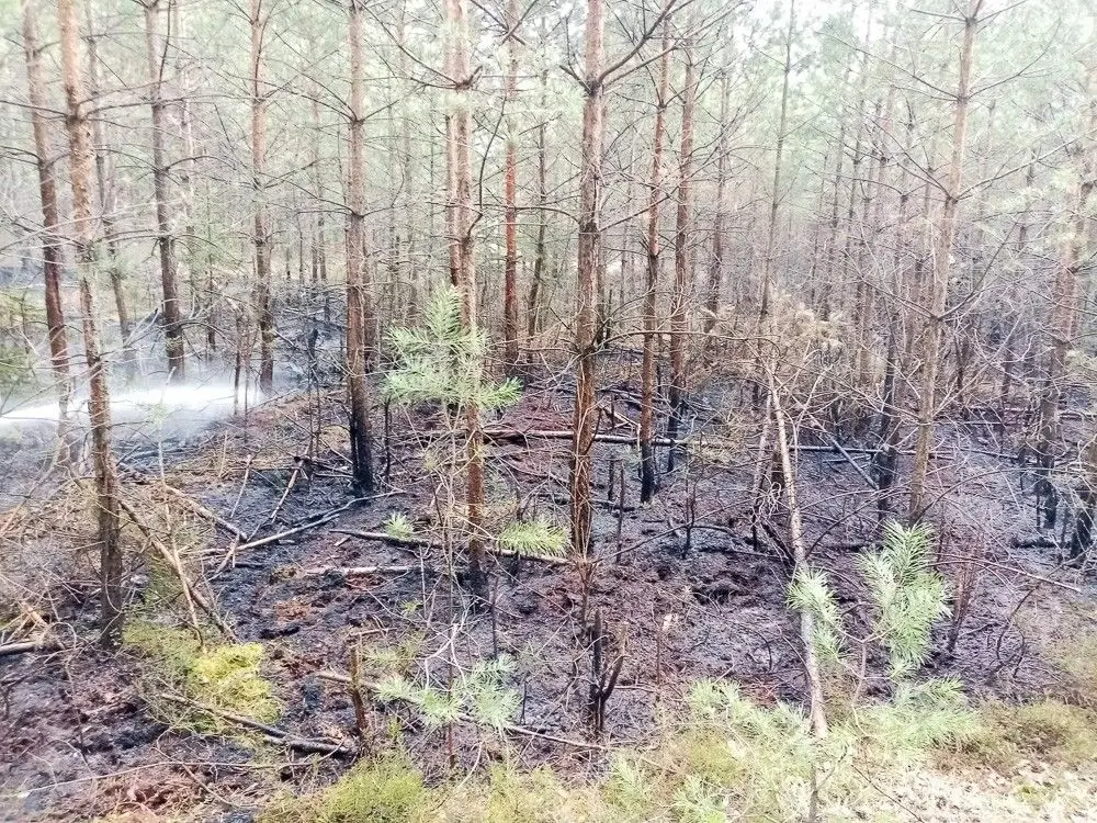 Дії пожежників у ґміні Gromadka