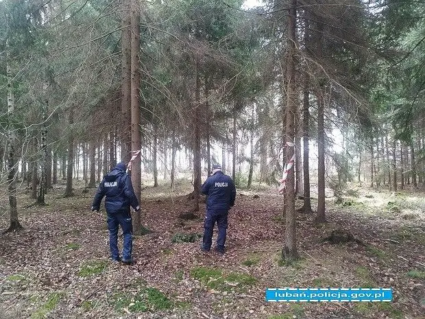 Akcja bolesławieckich saperów w powiecie lubańskim