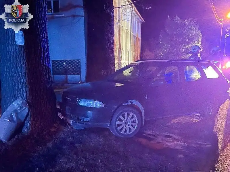 Дії поліції