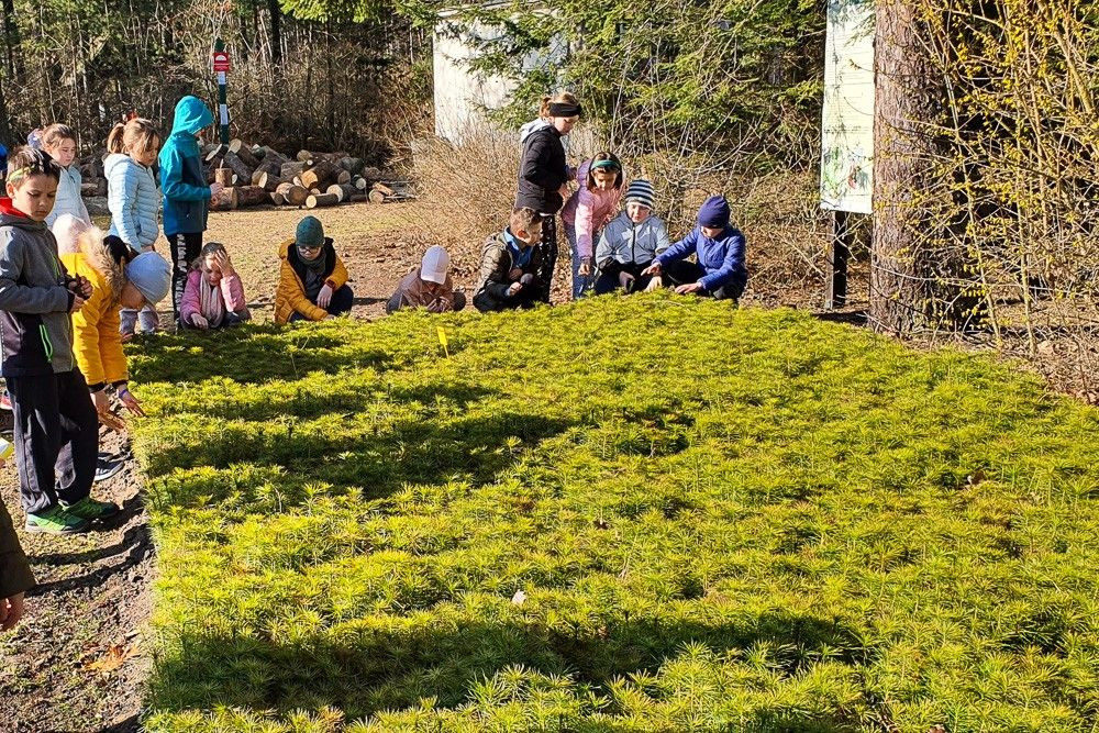 Wyjątkowe warsztaty „Las bliżej nas” w Osieczowie