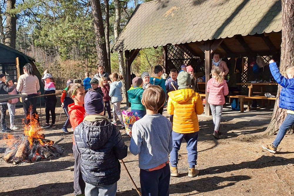 Wyjątkowe warsztaty „Las bliżej nas” w Osieczowie
