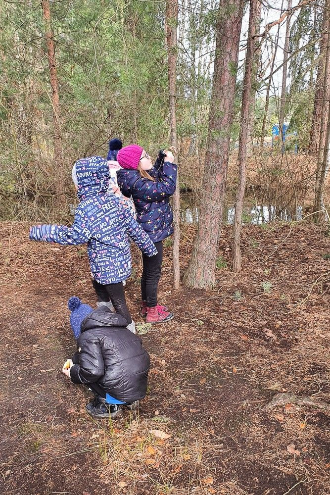 Wyjątkowe warsztaty „Las bliżej nas” w Osieczowie