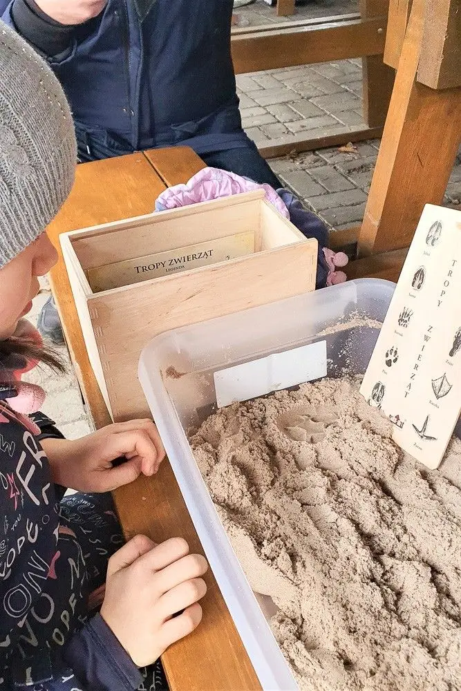 Wyjątkowe warsztaty „Las bliżej nas” w Osieczowie