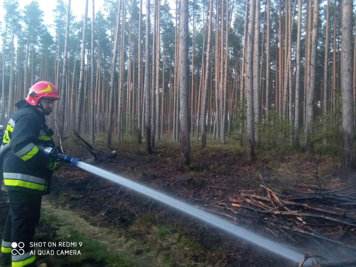 Pożar w Wierzbowej