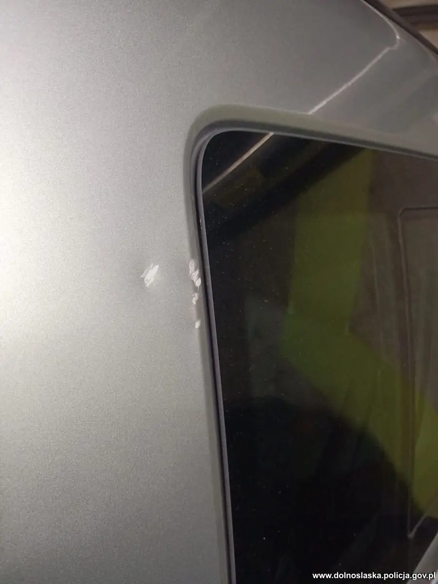 Поліцейський автомобіль і підозрюваний