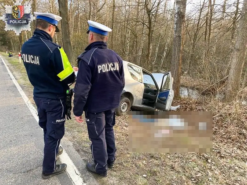 Fatal accident on provincial road No. 328