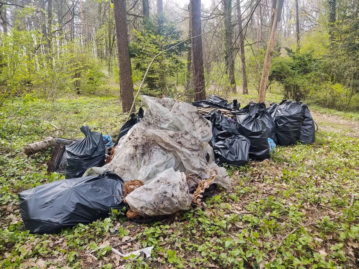 7200 litrów śmieci uprzątnęli Ukraińcy i Ukrainki