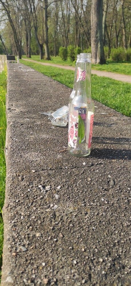 Rozbite butelki w parku przy Obrońców Helu w Bolesławcu