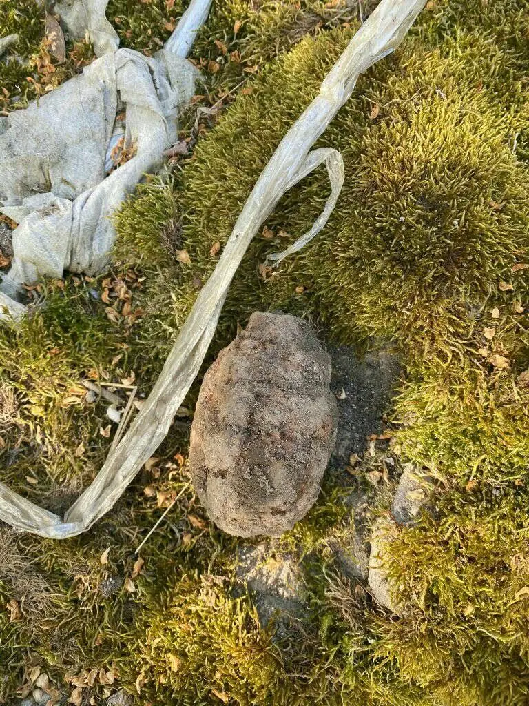 Granat w ogródku w Kraśniku Górnym