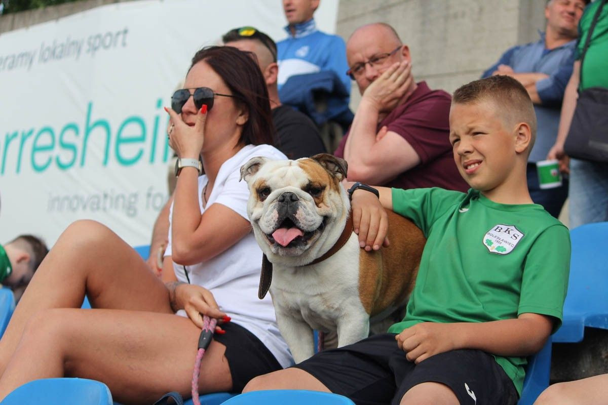BKS Bolesławiec - Lotnik Jeżów Sudecki
