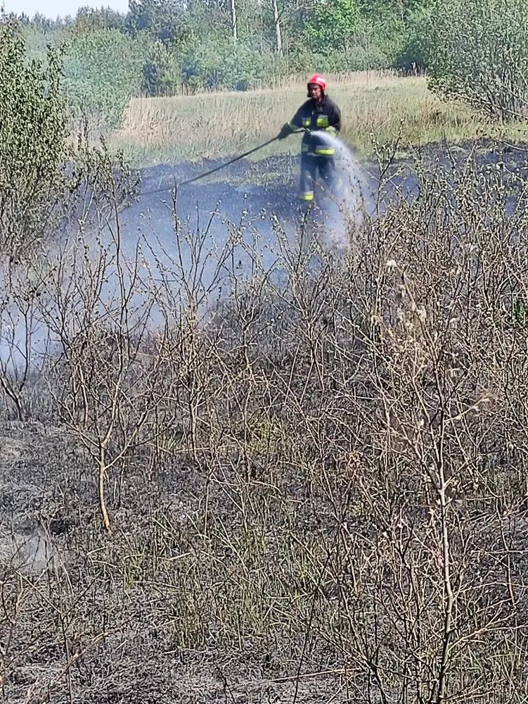Pożar w gminie Gromadka