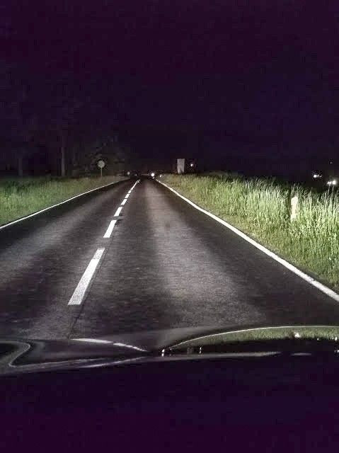 Chaszcze przy drodze