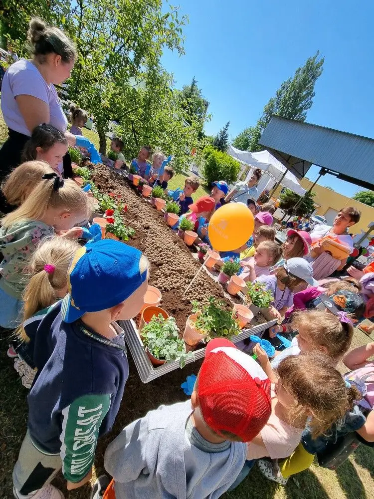 Piknik w Bolesławcu