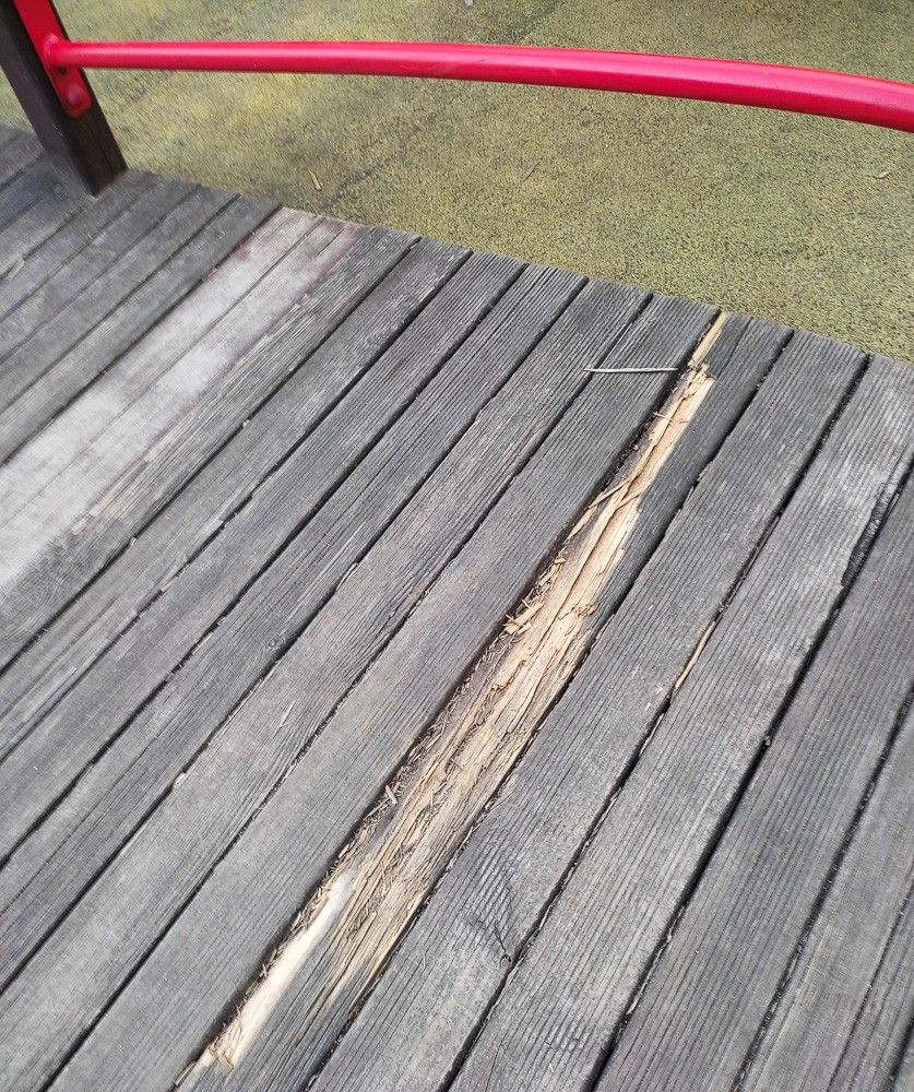 Zdjęcia z parku Bonina wykonane przez Czytelnika