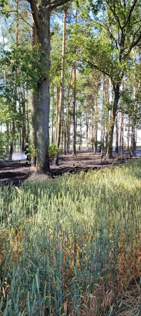 Akcja straży pożarnej w Szczytnicy