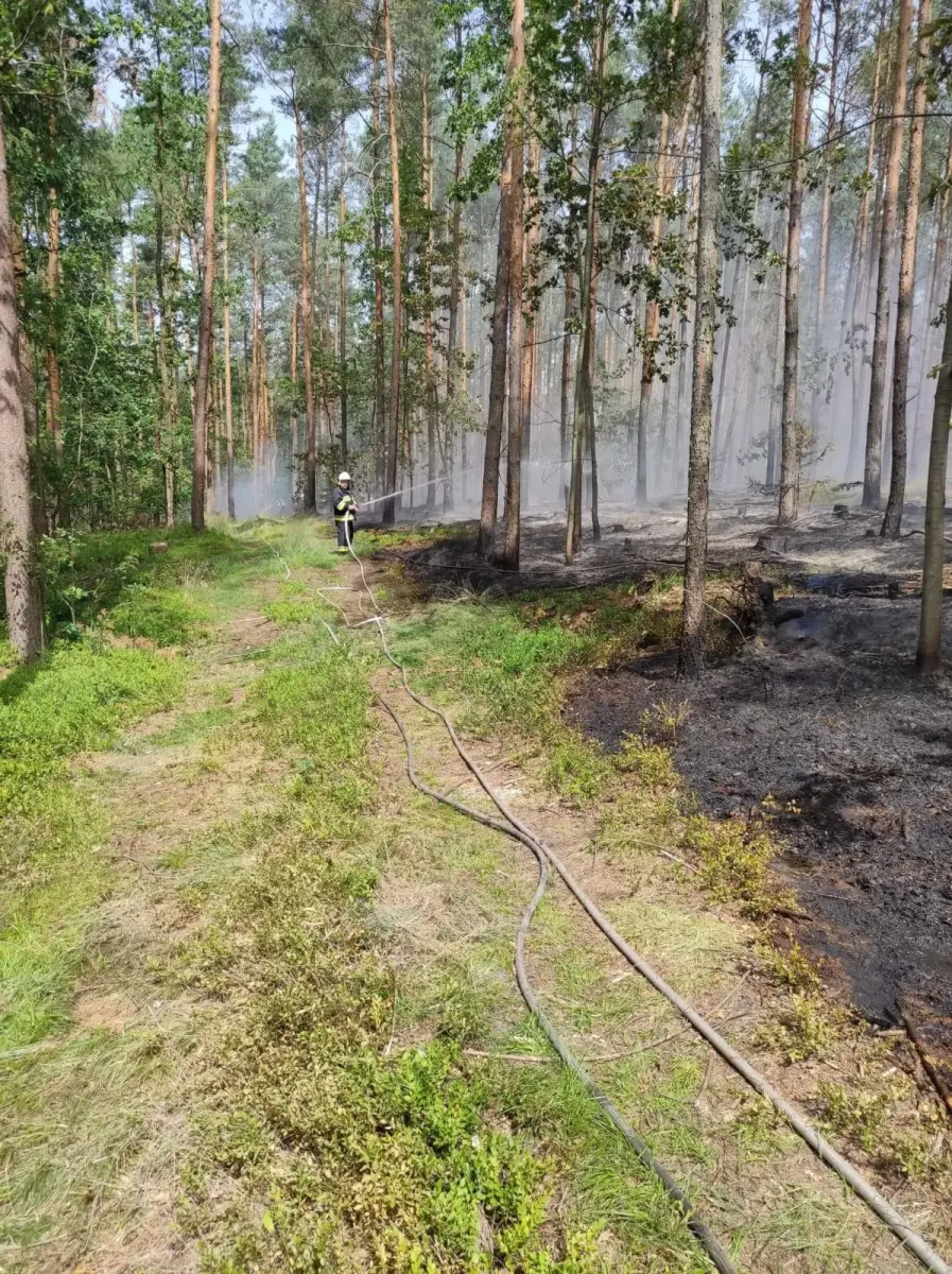 Fire service operation in Gromadka municipality