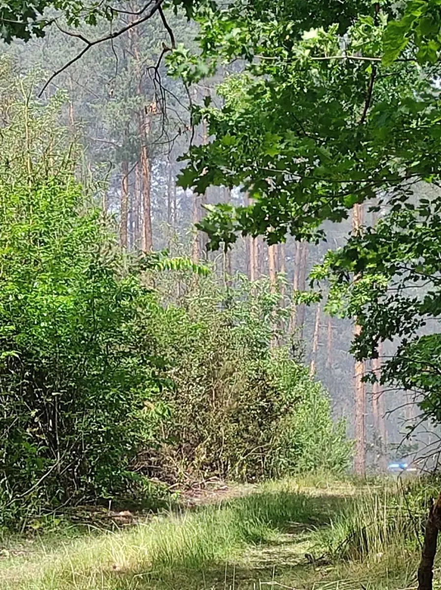 Fire service operation in Gromadka municipality