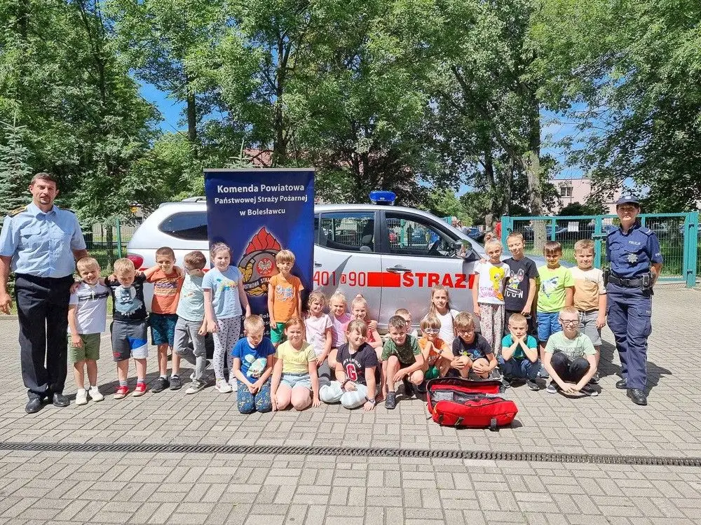 Akcja służb