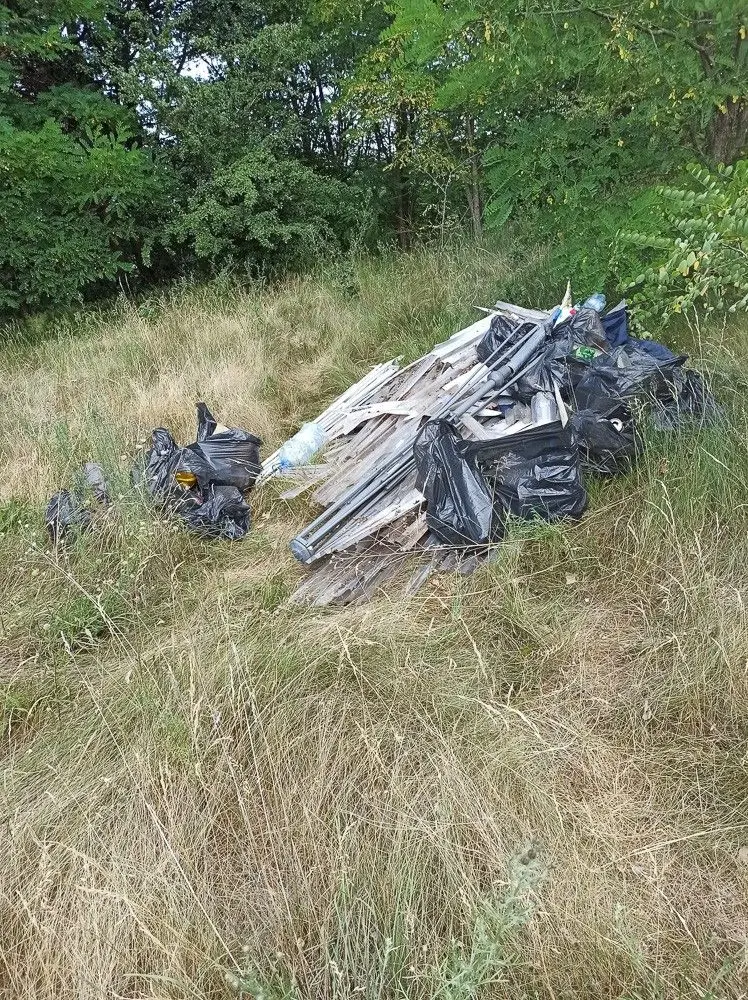 Akcja strażaków z Przejęsławia