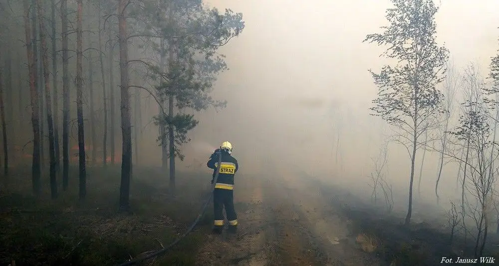 Pożar lasu